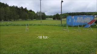 distance grid