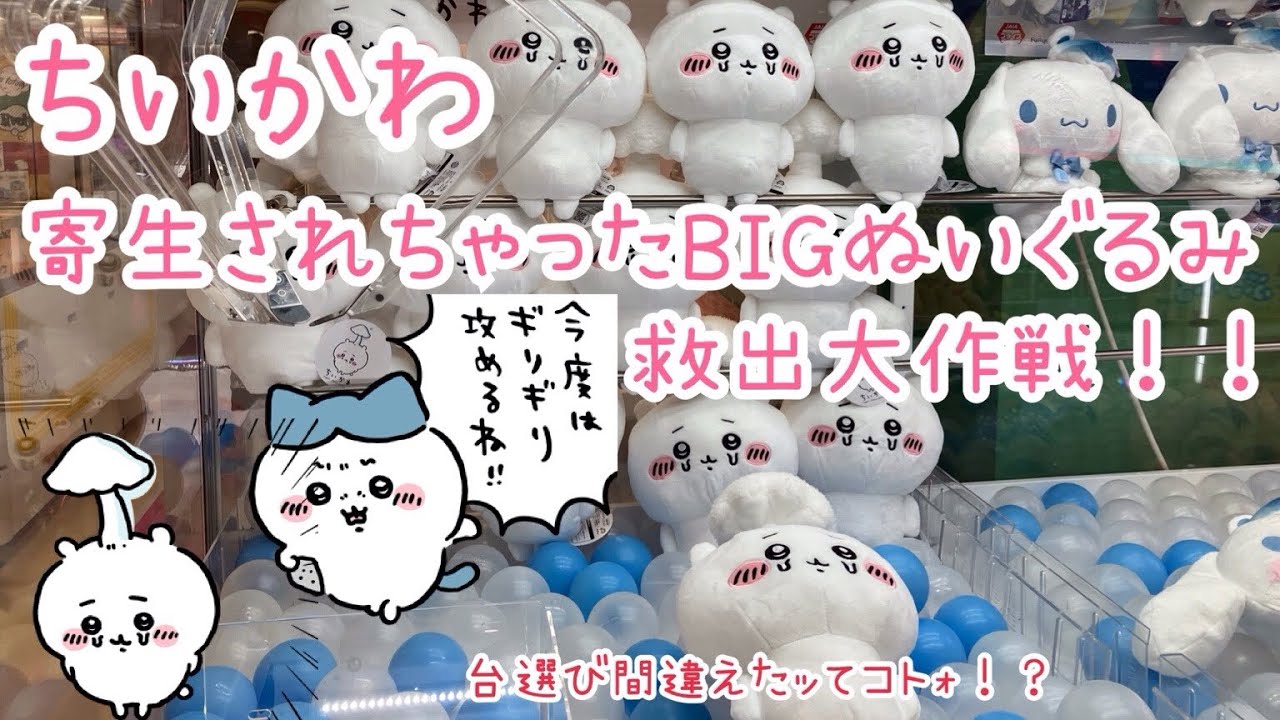 ちいかわ】【クレーンゲーム】ちいかわ寄生されちゃったBIGぬいぐるみ 