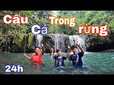 Video Thử Thách 24H CÂU CÁ SUỐI Cắm Trại SINH TỒN Trong Rừng - youtube