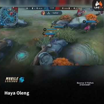 story wa ml Haya sing sing oleng (hayabusa)MLBB