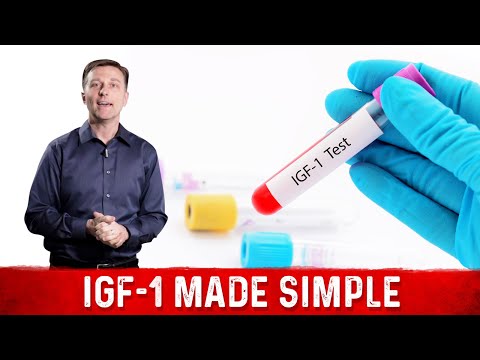 Understanding IGF-1 (Insulin-Like Growth Factor) in Simple Terms