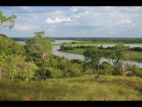 1º Seminário Técnico-Científico das Causas e Consequências do Desmatamento e Queimadas no Pantanal