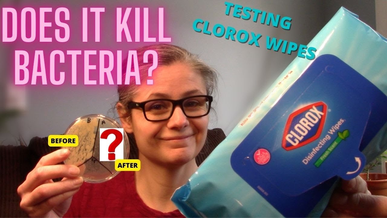 Do Clorox Wipes Kill Bacteria in My Home: Testing w/Sterile Swabs & Petri Dishes?- Viewer Request!!