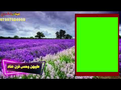 شاعر ايهاب المالكي عل شكل كرومه