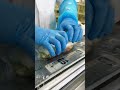 一度食べたらハマる！若狭小浜の地元の味【醤油かおる焼き鯖すし】