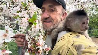Влад как всегда вечером гуляет с малышом Фиником по прекрасному, цветущему парку