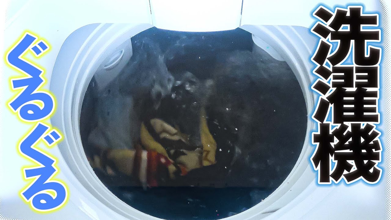 ぐるぐる回る洗濯機の中を見るだけの動画だよ♬