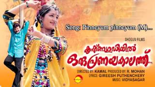 Video thumbnail of "Pinneyum Pinneyum | Krishnagudiyil Oru Pranayakalathu | K J Yesudas| Vidyasagar| Gireesh Puthanchery"