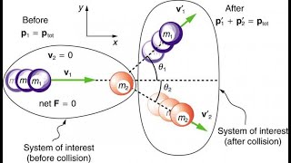 Celebrity Momentum and kinetic energy before & after 1D collision《[●virtual lab●Simulation]》 Net Worth