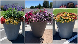 Update on Our Container Competition! // Garden Answer