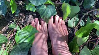 4K Playing Outside In Ivy Vines Asmr Friendly Bella Feet