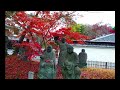 京都の紅葉
