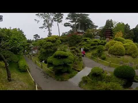 San Francisco Golden Gate Park - Japanese Tea Garden