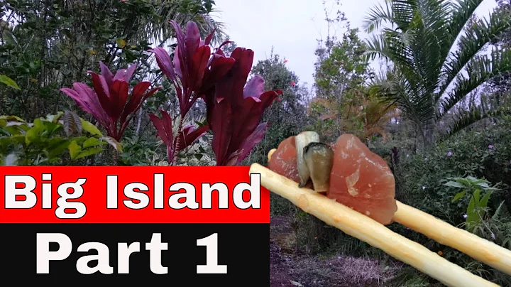 Big Island, Hawaii Food and Adventure Day 1 | Tesh...