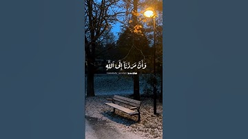 سورة غافر | سلمان العتيبي #quran #اكسبلور #قران_كريم #اكسبلور_فولو #راحة_نفسية #سلمان_العتيبي