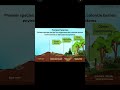 bryophytes