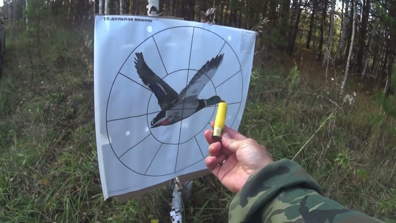 Ружьё ATA SP 20/76, 610 мм. Главпатрон номер 3.