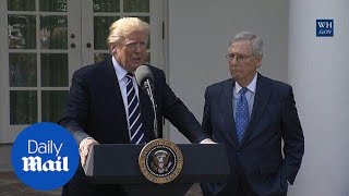 Trump says other presidents didn't call fallen soldiers' families - Daily Mail