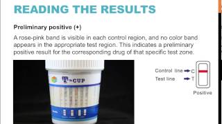 CLIA Waived Multi-Drug Test Urine T-Cup - Specimen Collection and Preparation