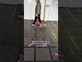 Wildly reactive Mini Dachshund’s!