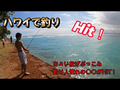 島を釣る Barrel fishing] At the end of a lonely battle, the angler