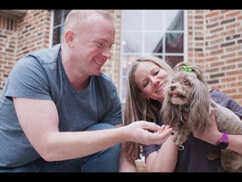 Video: Gözlerini Avert! Bu köpek oyuncak çirkin yeni güzel olduğunu kanıtlıyor