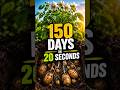 150 Days of Potato Growth in 20 Seconds! 🥔🌱 | Seed to Harvest Timelapse #Shorts