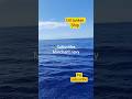 oil tanker ship...sailing..... moment...
