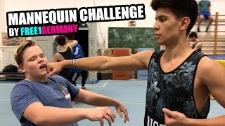 MANNEQUIN CHALLENGE - ACROBATICS and PARKOUR