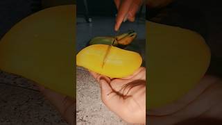 LANGDA AAM •• #funny #meme #langdaaam #mango