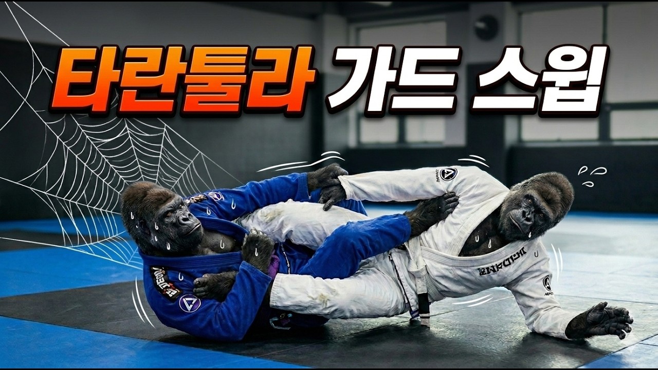 타란튤라가드 스윕 Tarantula Guard Sweep (기술도움 : 김민우) #타란튤라가드 #타란튤라가드스윕 #tarantulaguard #tarantulaguardsweep