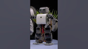 Can AI Do Philosophy?