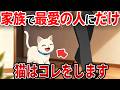 家族の中で最愛の人にだけする猫の行動【猫雑学】