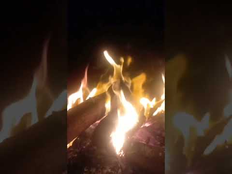 مشبتوع حشيشه صيدين الصقر بريشه