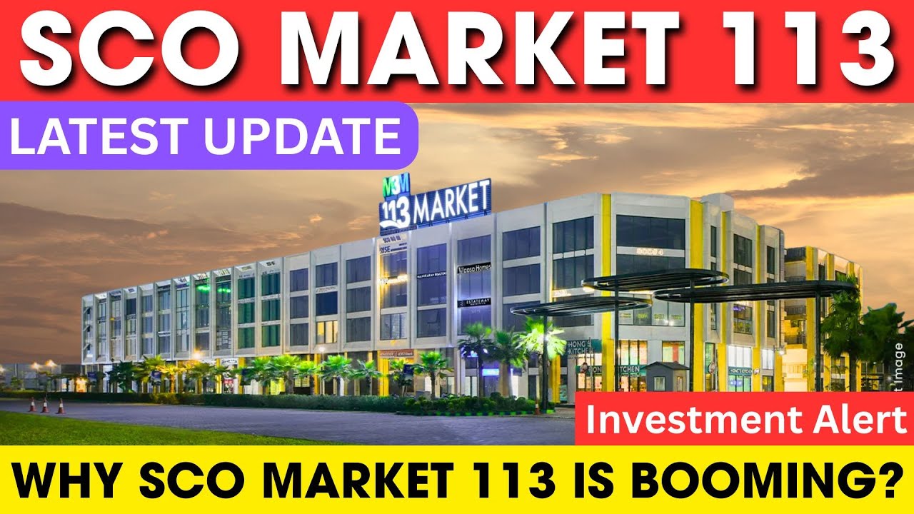 SCO (Shop-cum-Office) Market 113 Dwarka Expressway | Complete Analysis for Investors