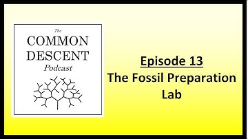 Episode 13 - The Fossil Preparation Lab