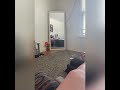 Lesbian Couple Married Morning Routine 