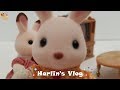 Calico Critters - Harlin&#39;s Vlog - The Band Plays