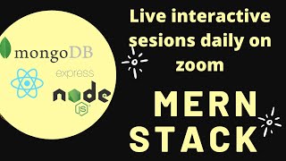 MERN Stack Developer