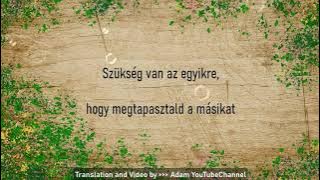 Jason Mraz - Life is wonderful ( Live EBS SPACE KOREA ) translated into Hungarian = magyar language