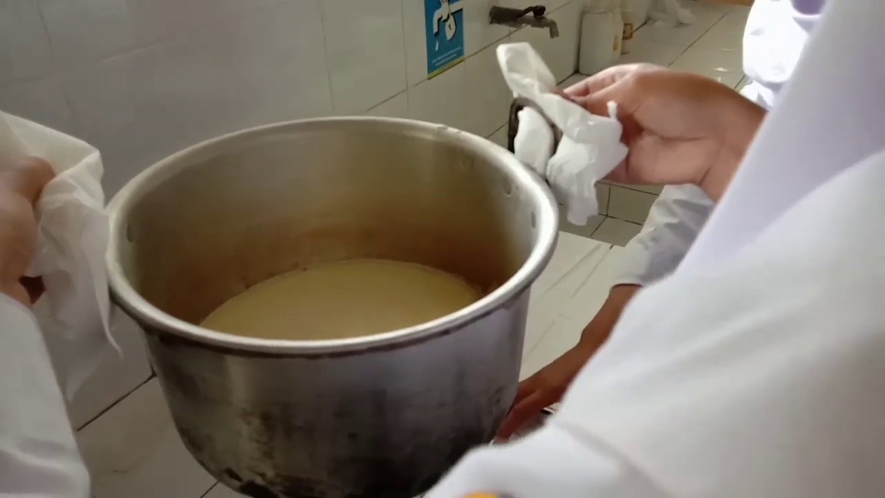 Cara Membuat Yoghurt Simple! 