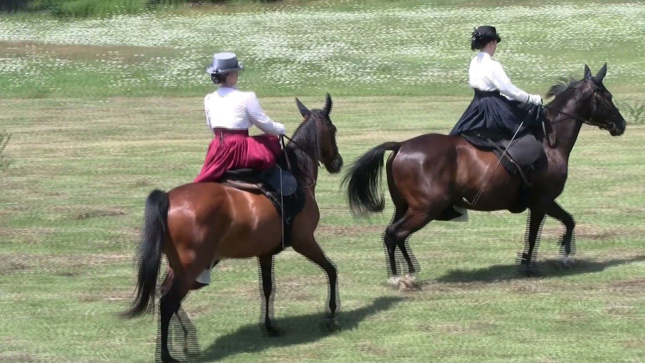 HZSE KLSZ Dámalovas csoport bemutatója