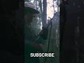 Rambow Movie Shorts Recap