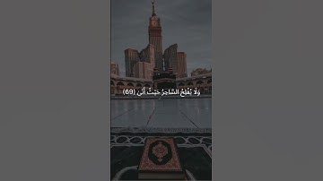 قُلْنَا لَا تَخَفْ إِنَّكَ أَنتَ الْأَعْلَىٰ | سورة طه #قرآن_كريم #quran #اكسبلور #راحة_نفسية