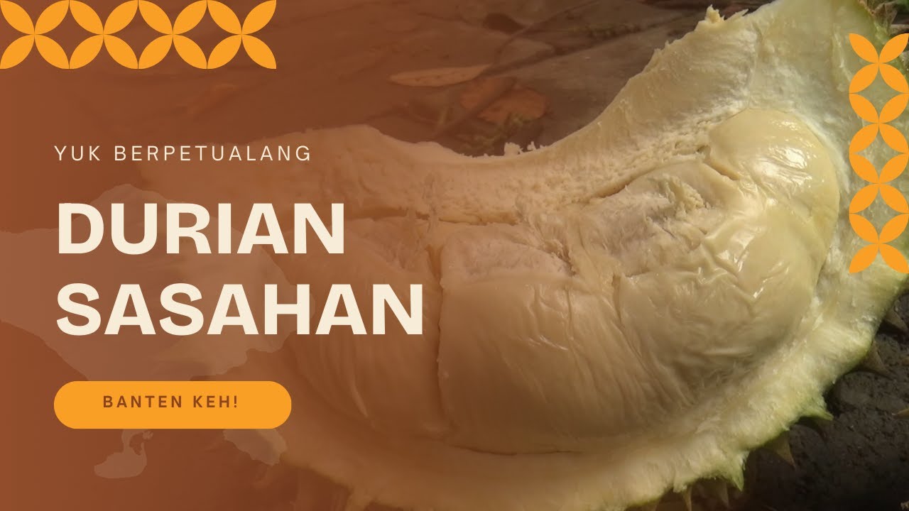 Gak Bisa dilewatkan! Petualangan Seru Berburu Durian di Desa Sasahan