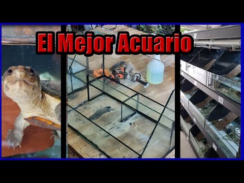 "El Acuario Perfecto: ¿como hacer una pecera?// pecera de vidrio// acuario para tortugas