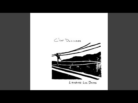 C'est Dommage — highway 33, north from maricopa