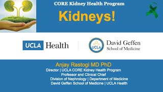Full UCLA CORE Kidney | Diet & Nutrition: What You Should Know! | Anjay Rastogi, MD PhD Guide