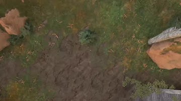 APEX bugs: Jump pad [PC]