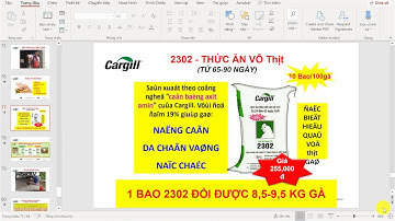 Sửa Lỗi font chữ trong Powerpoint